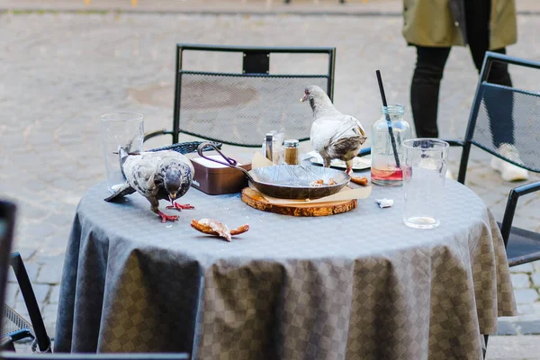 ピジョンズは夏の夕方に屋外カフェでテーブルの上に残り物を食べる — ストック写真