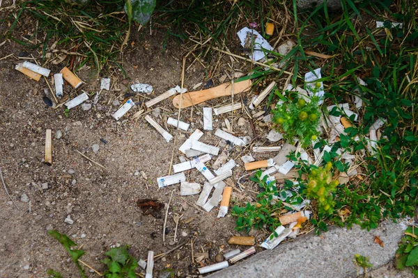 Colillas Cigarrillos Césped Ciudad Verano Basura Ciudad Primer Plano —  Fotos de Stock