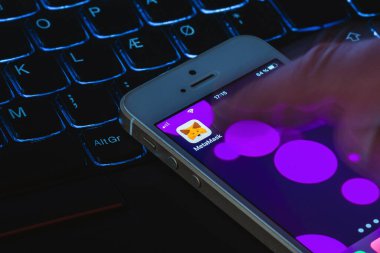 Metamask şifreli cüzdan mobil uygulaması. NFT dijital koleksiyona yatırım yapıyor. Metamask logo işareti, telefon ekranında. Telsiai, Litvanya. 07-25-2023.