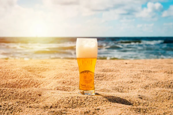 Cold Beer Sand Beach Background Glass Light Fresh Beer Ale — Stock Photo, Image