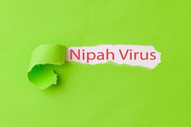 Nipah Virüsü 'ne mesaj. Yırtılmış kağıt dokusu. Nipah virüsü kelimelerini hastalığın nedeni olan yeşil kağıda dök.