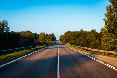Sonbahar ormanının ortasında boş bir yol. Güzel ağaçlar, yol, yeşil yapraklı ağaçlar ve bulutlu gökyüzü. Sonbaharda ormanın içinden geçen boş asfalt yolu olan manzara. Seyahat konsepti..