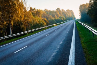 Sonbahar ormanının ortasında boş bir yol. Güzel ağaçlar, yol, yeşil yapraklı ağaçlar ve bulutlu gökyüzü. Sonbaharda ormanın içinden geçen boş asfalt yolu olan manzara. Seyahat konsepti..