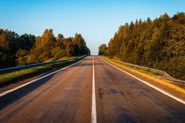 Sonbahar ormanının ortasında boş bir yol. Güzel ağaçlar, yol, yeşil yapraklı ağaçlar ve bulutlu gökyüzü. Sonbaharda ormanın içinden geçen boş asfalt yolu olan manzara. Seyahat konsepti..