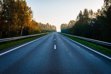 Sonbahar ormanının ortasında boş bir yol. Güzel ağaçlar, yol, yeşil yapraklı ağaçlar ve bulutlu gökyüzü. Sonbaharda ormanın içinden geçen boş asfalt yolu olan manzara. Seyahat konsepti..