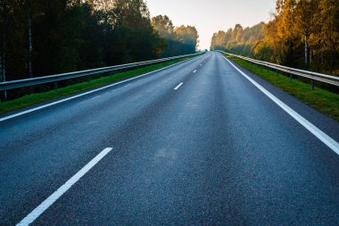 Sonbahar ormanının ortasında boş bir yol. Güzel ağaçlar, yol, yeşil yapraklı ağaçlar ve bulutlu gökyüzü. Sonbaharda ormanın içinden geçen boş asfalt yolu olan manzara. Seyahat konsepti..