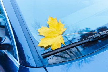 Park halindeki bir arabanın ön camına düşmüş sarı bir leke..