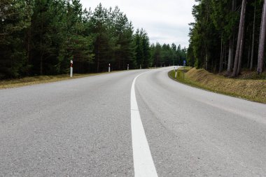 Ormanda, baharda, boş asfalt sarar.