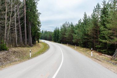 Ormanda, baharda, boş asfalt sarar.