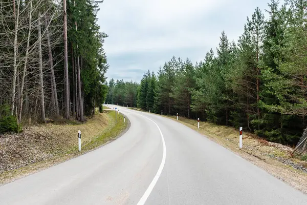 Ormanda, baharda, boş asfalt sarar.