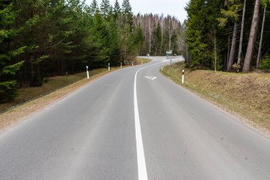 Ormanda, baharda, boş asfalt sarar.