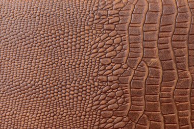 Timsah derisi, timsah derisi arka plan hakiki deri doku arka plan.