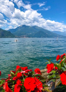 Como Gölü 'nün göz kamaştırıcı manzarası güzel kıyı şeridi ve Alp manzarası, etrafta dolaşan beyaz tekne ve ön planda parlak çiçekler.. 