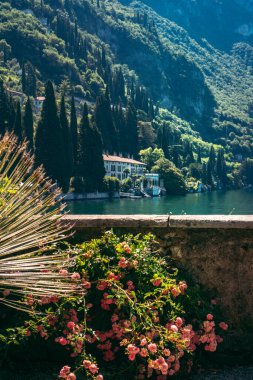 Como Gölü ve Alp Dağlarının güzel manzarası Villa Cipressi, Varenna, İtalya 'nın botanik bahçesinden görülebilir. İtalyan manzarası, güneşli bir yaz gününde.