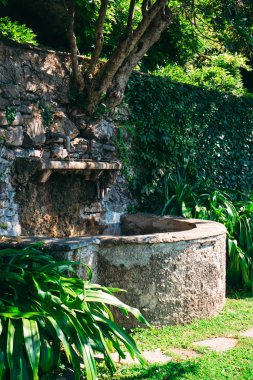 Villa Manastırı 'nın botanik parkındaki yeşil tırmanma tesisleriyle çevrili eski çeşme. Varenna, Como, İtalya.