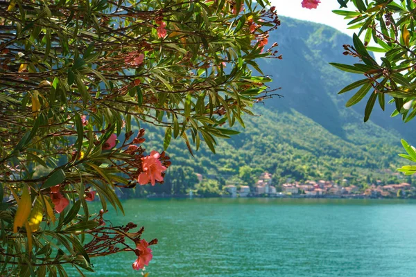 Hermosa Vista Del Lago Como Montañas Alpinas Visibles Desde Jardín — Foto de Stock