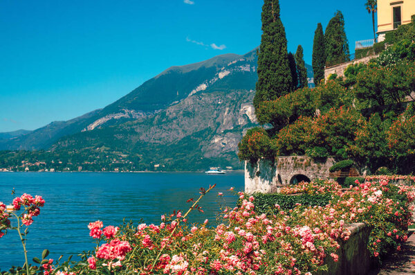 Beautiful view of Lake Como and Alpine mountains visible from the botanical garden of Villa Cipressi, Varenna, Italy. Italian landscape, on a sunny summer day.