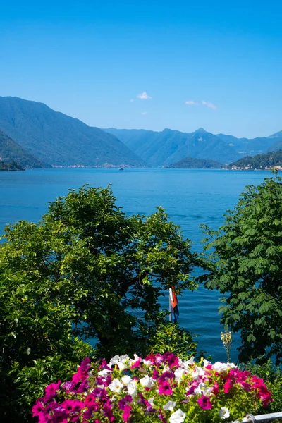Hermoso Paisaje Del Lago Como Las Montañas Alpinas Día Soleado — Foto de Stock
