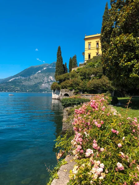 Piękny Widok Jezioro Como Alpejskie Góry Widoczne Ogrodu Botanicznego Villa — Zdjęcie stockowe