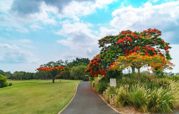 Πανοραμική Θέα Του Όμορφου Glades Golf Course Ένα Από Πιο — Φωτογραφία Αρχείου