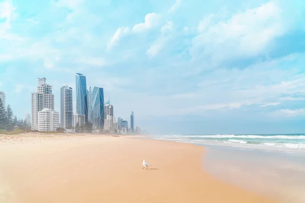 Schöner Panoramablick Auf Die Skyline Der Goldküste Und Surfers Paradise — Stockfoto