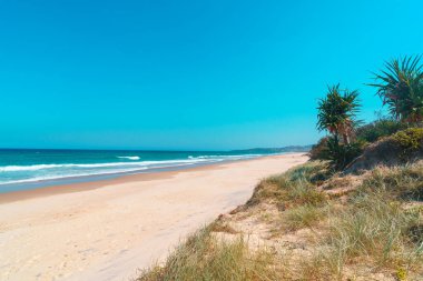 Beautiful wide panoramic view of the Peregian beach with rolling waves of Pacific ocean, Sunshine Coast, Queensland, Australia.