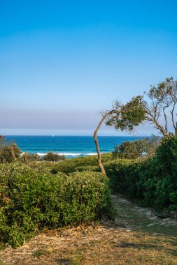 Okyanustaki beyaz yelkenlinin güzel romantik manzarası. Sahile giden tepedeki patikadan görülebiliyor..