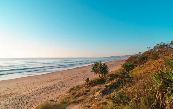 Wunderschönes Weites Panorama Des Peregian Beach Eingebettet Die Dünen Eines — Stockfoto