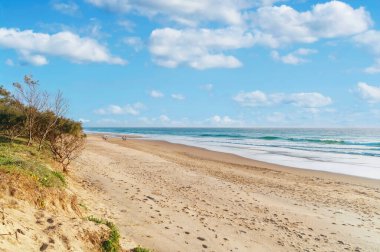 Gün doğumunda sahilde yürüyen sörfçüler. Pasifik Okyanusu 'nun muhteşem manzarası ve Avustralya' nın Güneş Işığı Sahili 'ndeki Peregian Sahili..