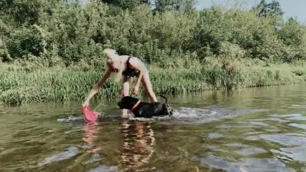 Una Joven Rubia Perro Negro Jugando Con Frisbee Río Una — Vídeo de stock