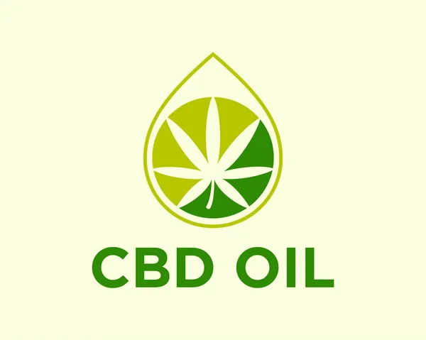 Diseño Logotipo Hoja Cáñamo Para Clínica Cannabis Medicinal — Archivo Imágenes Vectoriales