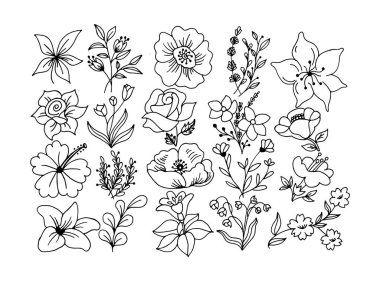Çiçek, botanik veya yapraklarla ilgili el çizimi karalama ikonu seti