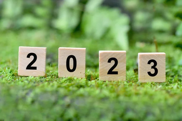Дерев Яні Блоки Літерами 2023 Року Траві Почніть Новий Рік Стокове Фото
