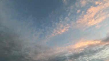 Gün batımında gökyüzünde uçan kırlangıçlar. Batan güneşin sıcak renkleri, kuşlar pembe-altın bulutlar arasında süzülürken çarpıcı bir zemin oluşturur. Swift 'ler Sersemletici bir günbatımı gökyüzünde süzülüyor