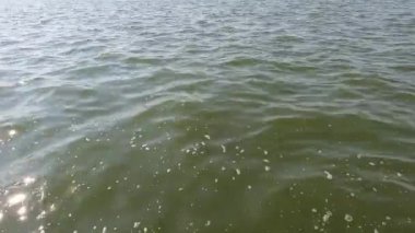 Yüzeyde koyu yeşil tonlar ve köpük içeren büyük bir doğal su gövdesinde yumuşak dalga hareketleri. Güneş ışığı, suyun üzerinde parıldıyor ve dans ediyor. Doğanın güzelliğini vurgulayarak ışık ve dokunun büyüleyici bir etkileşimini yaratıyor.