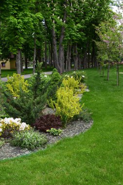 Çalılar, küçük bitkiler ve ağaçların bulunduğu iyi korunmuş, yemyeşil bir park alanı. Yan yana uzanan bir patika var ve arka planda küçük bir bina görünüyor. Manzara yeşilin farklı tonlarıyla dolu, biraz da çiçekli p ile.