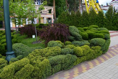 Kharkov, Ukraine, 14 May 2024. A well-kept garden with ornately trimmed shrubs and trees in the background. There is a brick path in shades of yellow and red and an architecturally designed structure in the background. A light pole is also visible on clipart