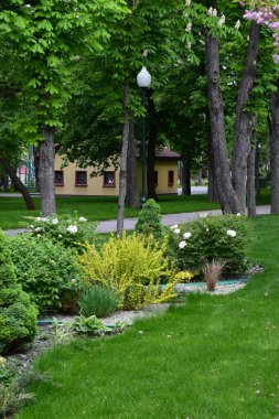 A well-maintained, lush green park area featuring a variety of shrubs, small plants, and trees. A pathway runs alongside, and a small building is visible in the background. The landscape is filled with different shades of green, with some flowering p clipart