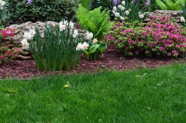 Canlı yeşil çimlerle, çeşitli bitki ve çiçeklerle dolu yemyeşil bir park sahnesi. Parkta bir patika var, sayısız ağaçla çevrili. Çiçek tarlasında beyaz ve mor çiçekler, eğrelti otları ve çalılar yer alır.