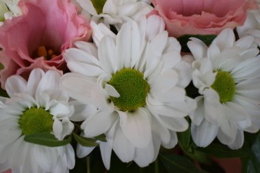 Bir buket çiçeğin yakın plan fotoğrafı. Sergide papatya gibi beyaz çiçekler, yeşil merkezli kasımpatılar ve dalgalı yapraklı pembe çiçekler yer alıyor. Çiçekler yeşil yapraklarla çevrili.