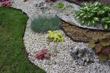 Çeşitli bitkilerin bulunduğu iyi korunmuş bir bahçe alanı. Bahçede yeşil ve beyaz çeşitli ev sahipleri, kırmızımsı yapraklı bitkiler ve farklı malç ve çakıl türleri ile sınırlandırılmış küçük yeşil çalılar yer alıyor. Düzenleme.