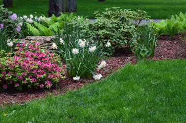 Canlı yeşil çimlerle, çeşitli bitki ve çiçeklerle dolu yemyeşil bir park sahnesi. Parkta bir patika var, sayısız ağaçla çevrili. Çiçek tarlasında beyaz ve mor çiçekler, eğrelti otları ve çalılar yer almaktadır.
