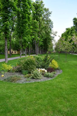 Çalılar, küçük bitkiler ve ağaçların bulunduğu iyi korunmuş, yemyeşil bir park alanı. Yan yana uzanan bir patika var ve arka planda küçük bir bina görünüyor. Manzara yeşilin farklı tonlarıyla dolu, biraz da çiçekli p ile.