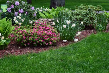 Çiçekleri ve bitkileri olan iyi bakılmış bir bahçe. Büyük yeşil çalılar arka planda hakimdir, bazıları açık mor çiçeklere sahiptir. Ön planda, muhtemelen nergis ya da zambaklar olmak üzere öne çıkan beyaz çiçekler yer alıyor. Birkaç eğrelti otu var.