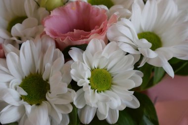 Bir buket çiçeğin yakın plan fotoğrafı. Sergide papatya gibi beyaz çiçekler, yeşil merkezli kasımpatılar ve dalgalı yapraklı pembe çiçekler yer alıyor. Çiçekler yeşil yapraklarla çevrili.