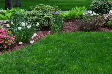 Canlı yeşil çimlerle, çeşitli bitki ve çiçeklerle dolu yemyeşil bir park sahnesi. Parkta bir patika var, sayısız ağaçla çevrili. Çiçek tarlasında beyaz ve mor çiçekler, eğrelti otları ve çalılar yer alır.