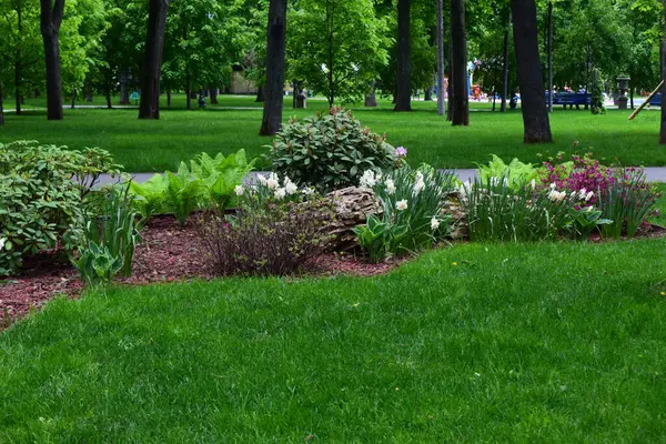 Canlı yeşil çimlerle, çeşitli bitki ve çiçeklerle dolu yemyeşil bir park sahnesi. Parkta bir patika var, sayısız ağaçla çevrili. Çiçek tarlasında beyaz ve mor çiçekler, eğrelti otları ve çalılar yer alır.