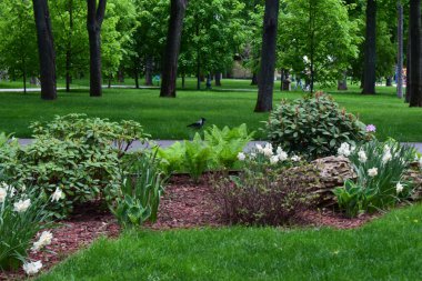 Canlı yeşil çimlerle, çeşitli bitki ve çiçeklerle dolu yemyeşil bir park sahnesi. Parkta bir patika var, sayısız ağaçla çevrili. Çiçek tarlasında beyaz ve mor çiçekler, eğrelti otları ve çalılar yer alır.