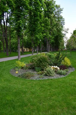 Çalılar, küçük bitkiler ve ağaçların bulunduğu iyi korunmuş, yemyeşil bir park alanı. Yan yana uzanan bir patika var ve arka planda küçük bir bina görünüyor. Manzara yeşilin farklı tonlarıyla dolu, biraz da çiçekli p ile.
