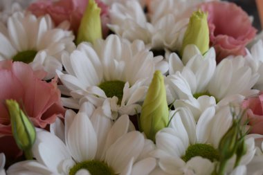 Bir buket çiçeğin manzarası. Birincil çiçekler sarı yeşil merkezli beyaz papatyalardır. Papatyaların arasında açık pembe çiçekler, lisianthus ve bazı tomurcuklar bulunur.